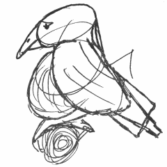 Pensive bird