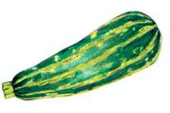 Courgette