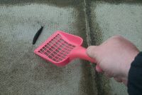 Slug-slinger in action